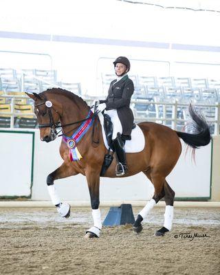 Rocovich Equestrian/Rocking Horse Ranch