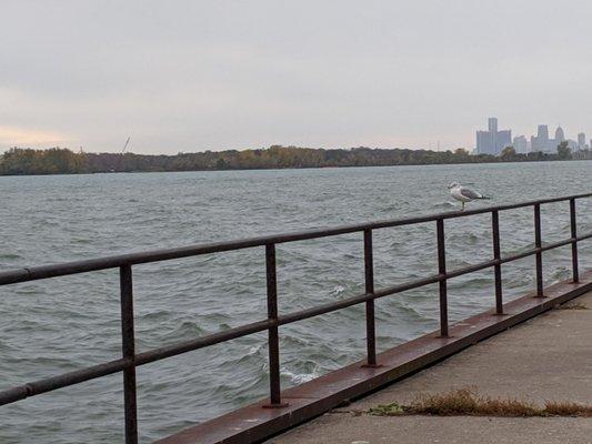 Alfred Brush Ford Park