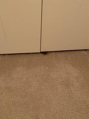 Green Hill Apartments