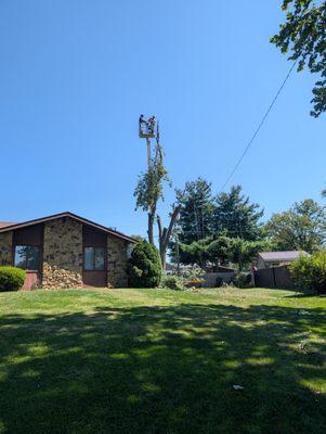 Browder Landscaping & Tree Services