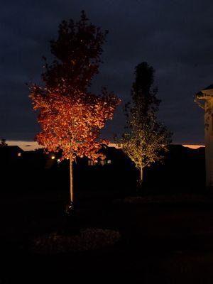 Kanazeh Lawn Service