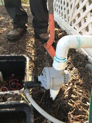 Arbor Nature Tree Service And Landscaping