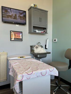 Trailwood Cat Hospital