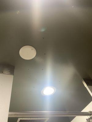 I think for this amount of flies something died in the vents