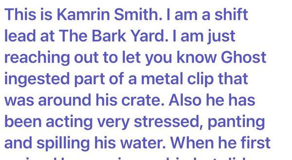 The email I received when my puppy was having his first trial day at the bark yard in Scarborough.