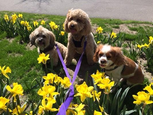 Hoochie Poochie Club