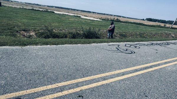 Black Beard's Landscaping