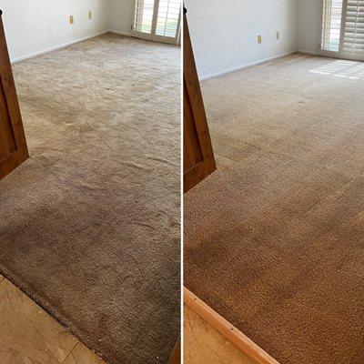 Stretching and cleaning #carpetcleaning