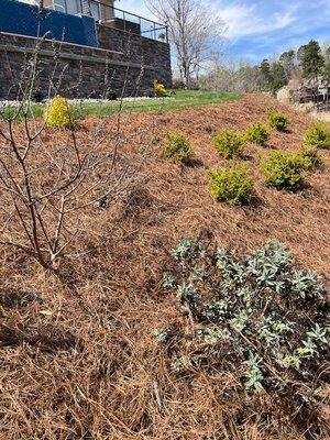 Floradays Landscapes