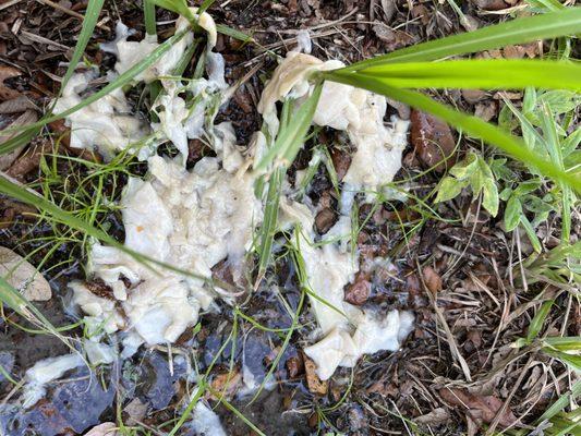 A Stepping Stone AC & Heating