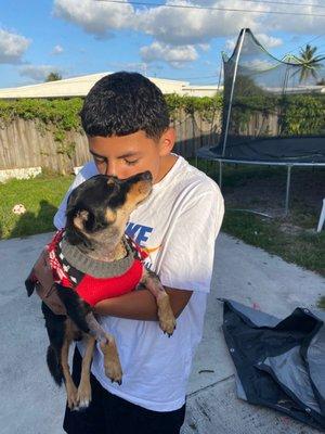 Miami Animal Clinic LLC