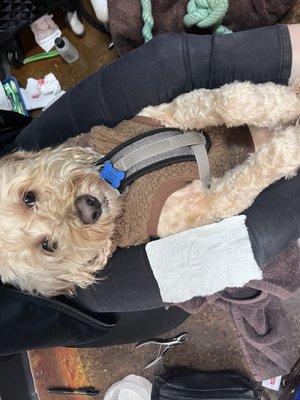 Nolan getting settled (age 6)