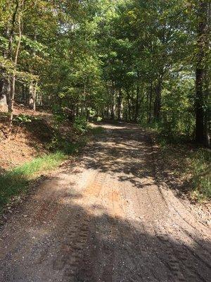 ADC Lawn Care & Bobcat Service