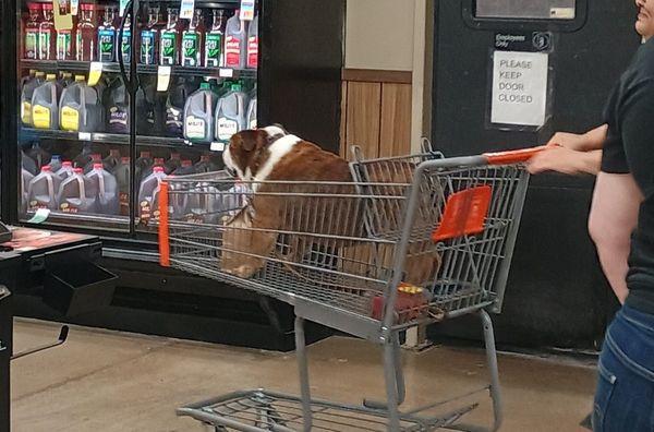 Market Street Pharmacy