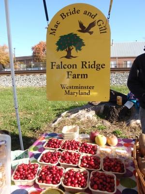 Falcon Ridge Farm
