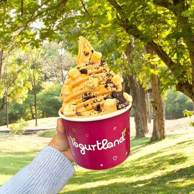 Dip your spoon into our version of the creamy, spiced traditional favorite.