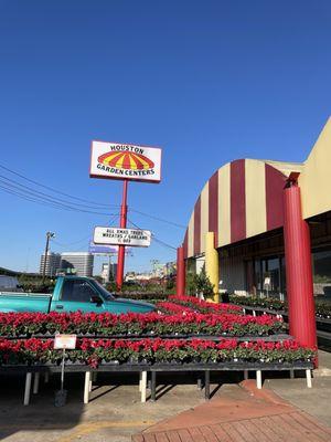 Beautiful day at Houston garden centers!