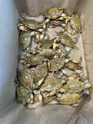 Mission Seafood Market