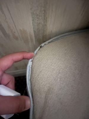 Don't let the bed bugs bite