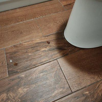 Coronada Inn & Suites