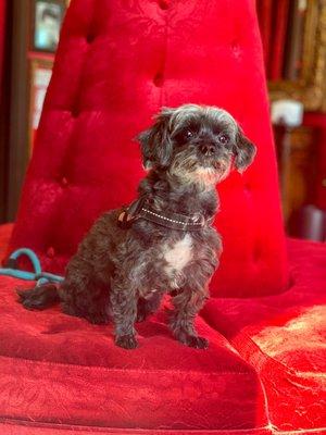 RAZZLEDAZZLE Barbershop