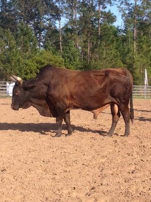 Baker County Fair Association