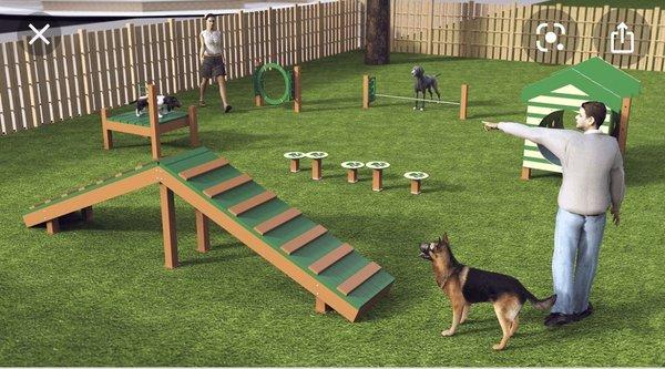 We need this for our doggies. It's a great way to strengthen the bond between the owners and dogs , great exercise for a dog and owner .