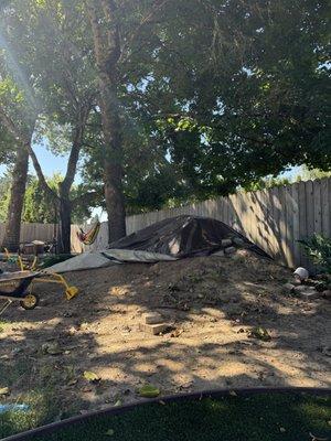 Bee Clean Junk Removal