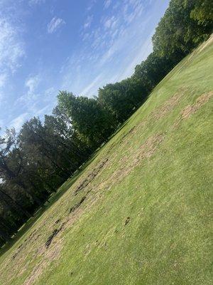 Lakewood Shores Resort