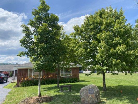 County Line Tree Farm