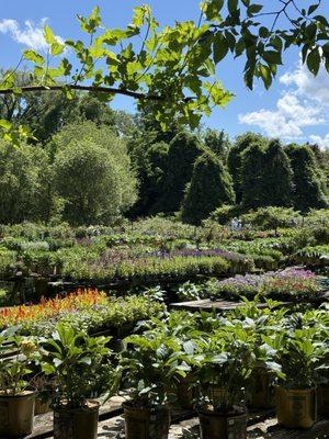 Brookville Nurseries