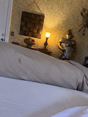 Stain on the comforter. Either DNA, lubricant or a combination of both. There was more I did not capture .