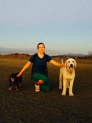 Veronique's Pet Care