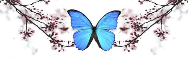 Integral Massage Therapy