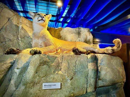 Museum of Natural History