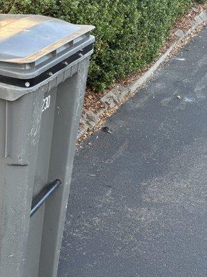 All The Pest Solutions