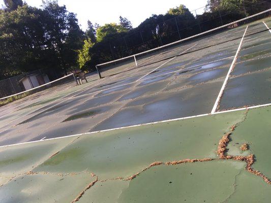 All 4 courts are heavily cracked with weeds. An orthopedic surgeon's customer base!