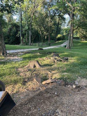 Davin’s Stump Grinding