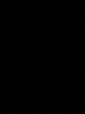 Chabad Jewish Center of Laguna Niguel