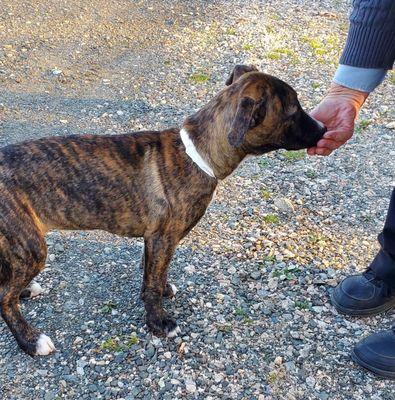 Clark Veterinary Hospital