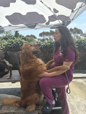 Dr. Boyd's Pet Resort