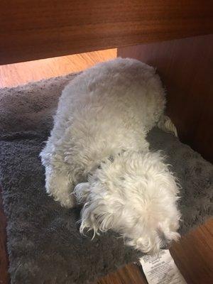 Richard E Matheny CPA