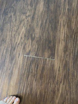 Valencia at Westchase