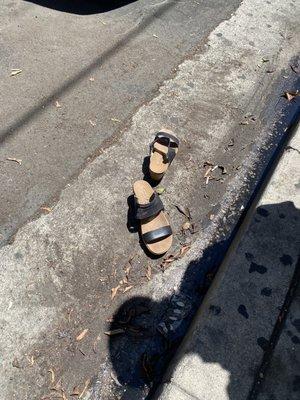 We found our shoes! Thanks for storing them for us! Superb!