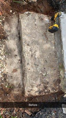 Moss Landscape Solutions