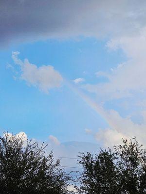 Costco Gasoline - Pearland