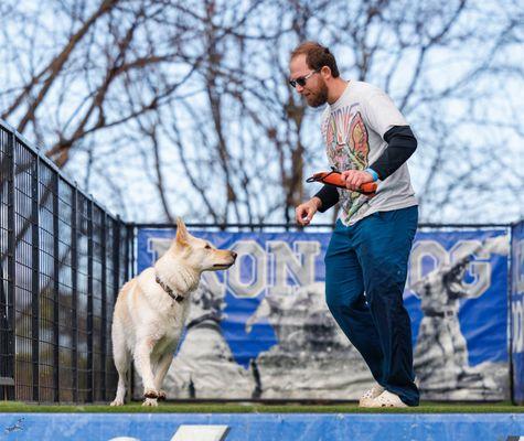 Newport Animal Clinic