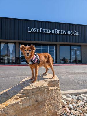 Lost Friend Brewing Company