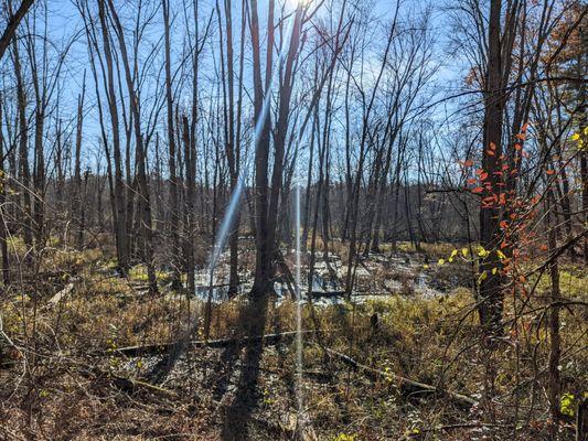 Huron Meadows Metropark