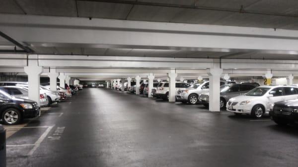 This is just a portion of the cars. Why are there more cars than employees helping at the desks? The State needs to see this.